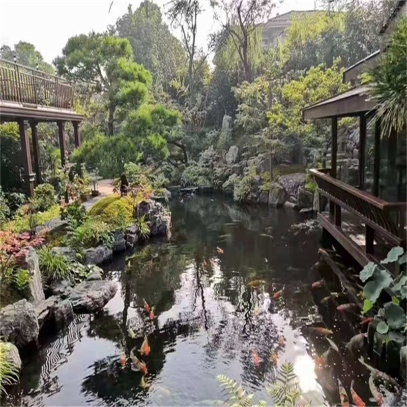 鹤城假山植物小鱼池